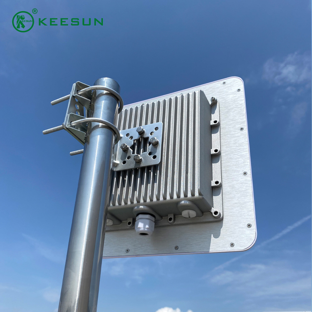 KS50049 | 5150~5850MHz 22dBi Arah Antena dengan N Penyambung Perempuan