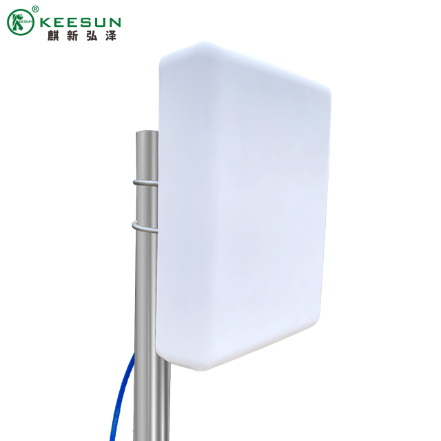 KS50060| Antenna direzionale a doppia frequenza da 2,4 ~ 5,8 GHz 11 dBi con connettore N